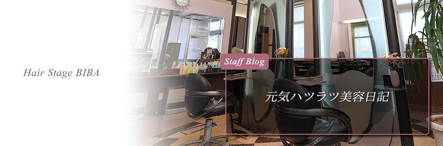 Hair Stage BIBA BLOG
